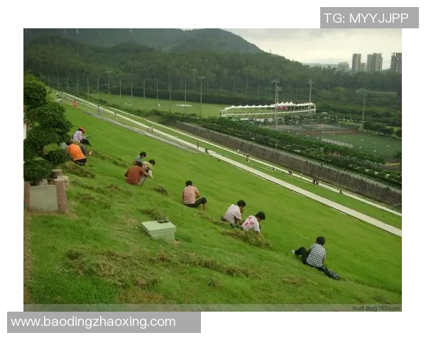 仙台维与岛栖沙的精彩对决揭示足球战术与团队默契的完美结合